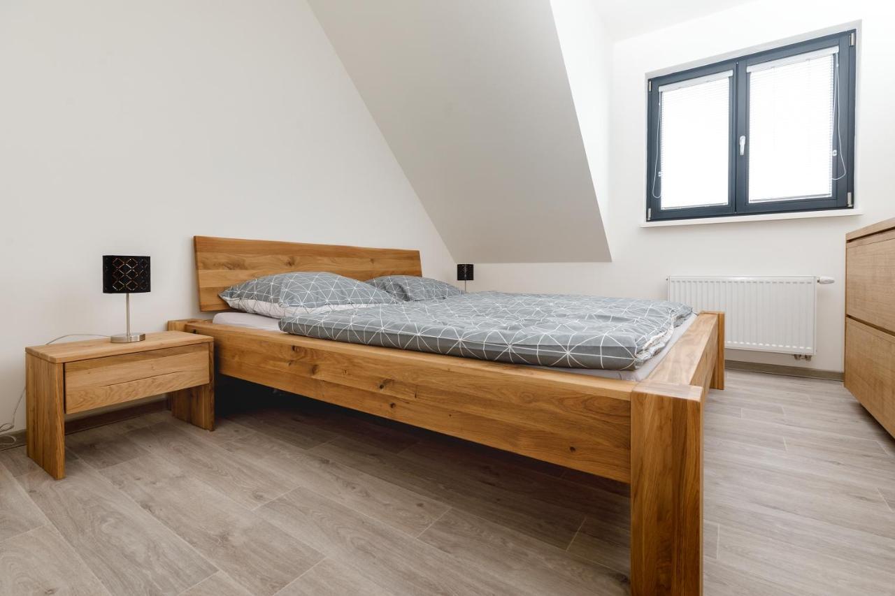 Boží Dar Apartment Ness מראה חיצוני תמונה